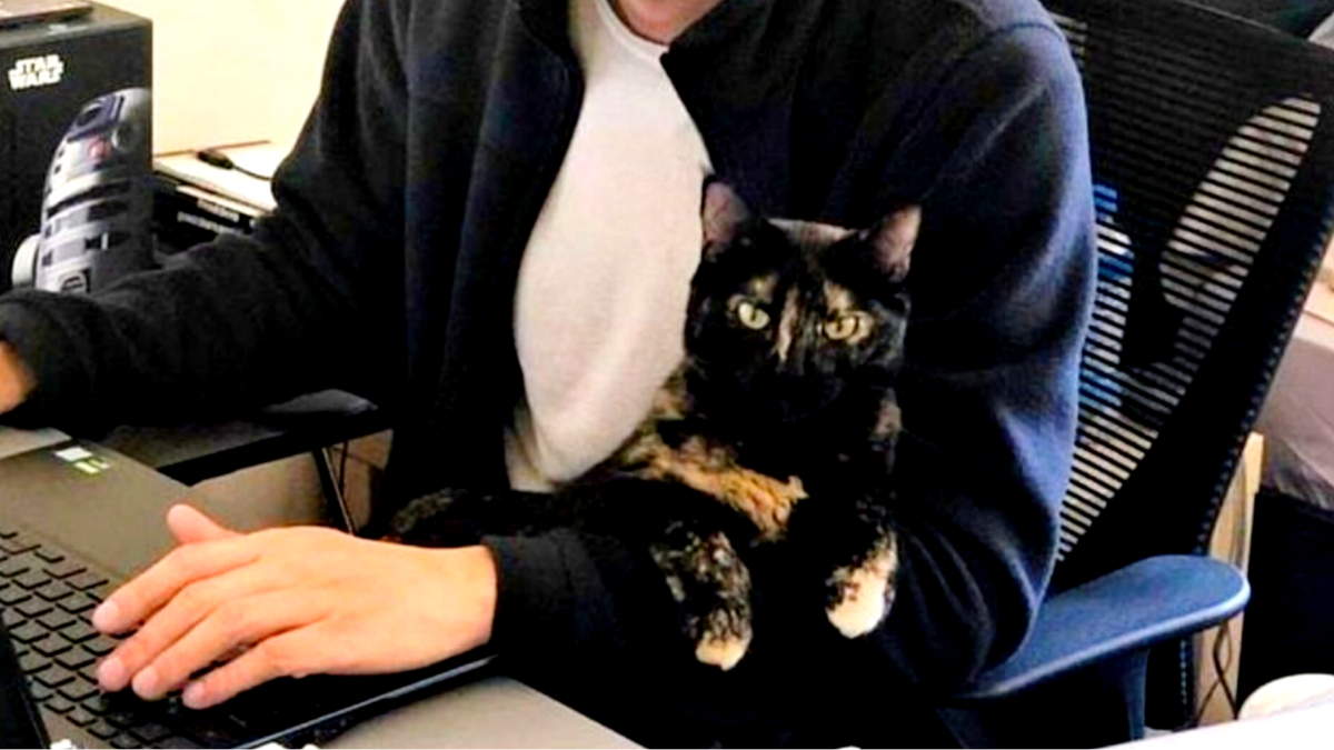 НА ну-ка выйди и зайди нормально... (с курочкой там, с рыбовыми всякими)