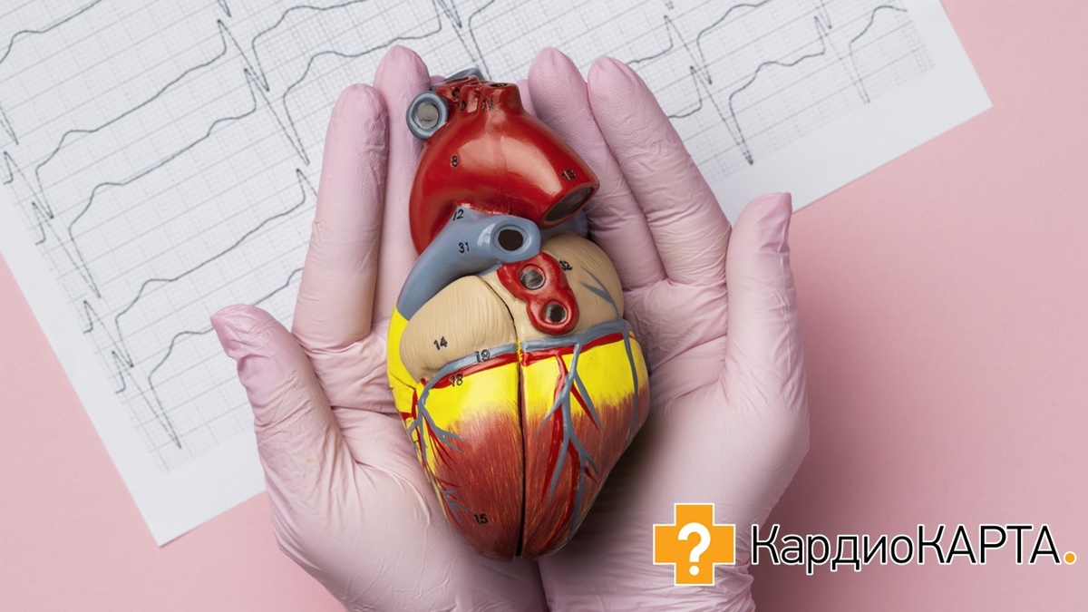 Источник фото: freepik.com