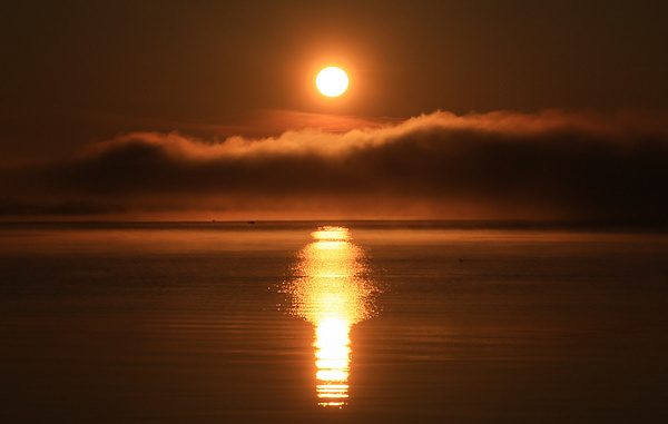 Владимир Смирнов/ТАСС