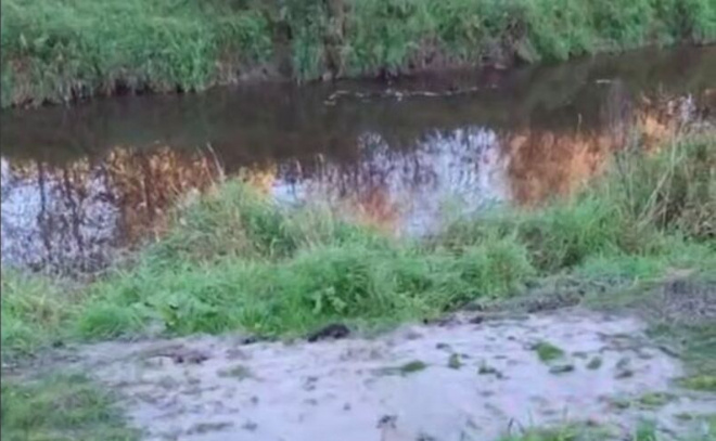    © Telegram-канал «Девяткино online | Мурино»