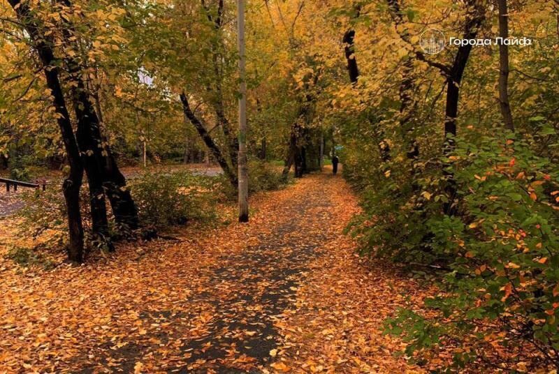     Фото: freepik.com