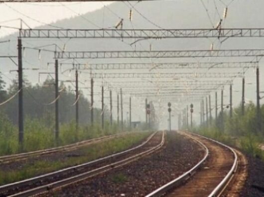    //Фото с сайта spb.aif.ru