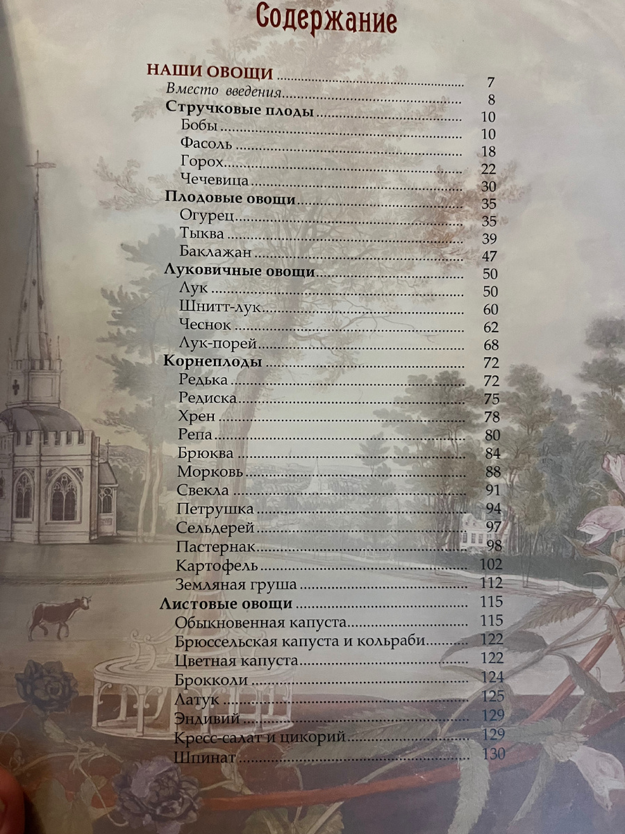 Фото автора. Как вам содержание?