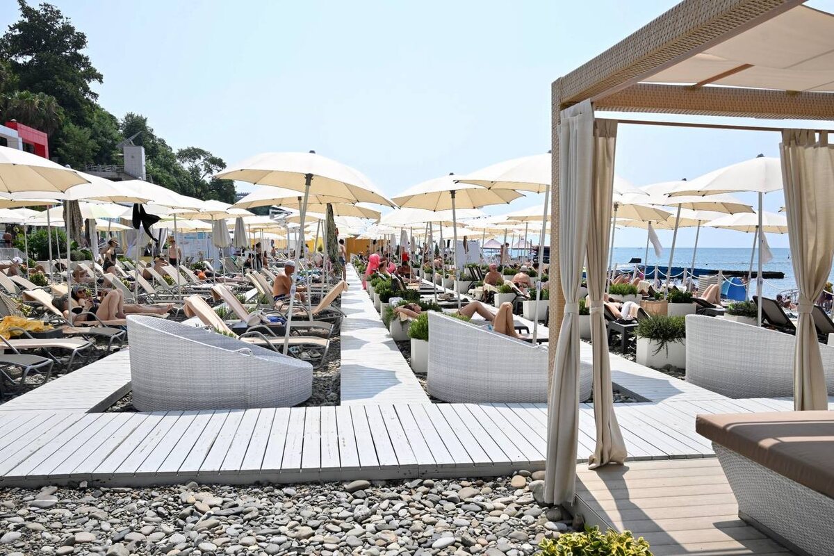 фото: Telegram/Мэр Сочи Андрей Прошунин  📷
