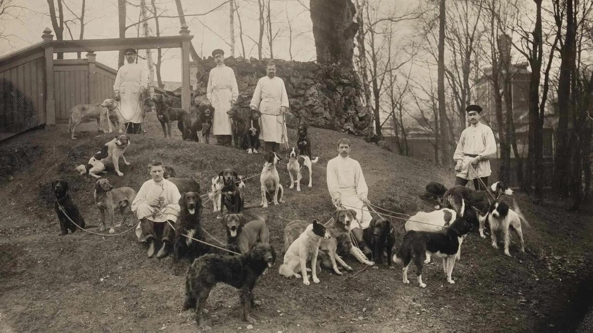 Изображение взято из сети Интернет.