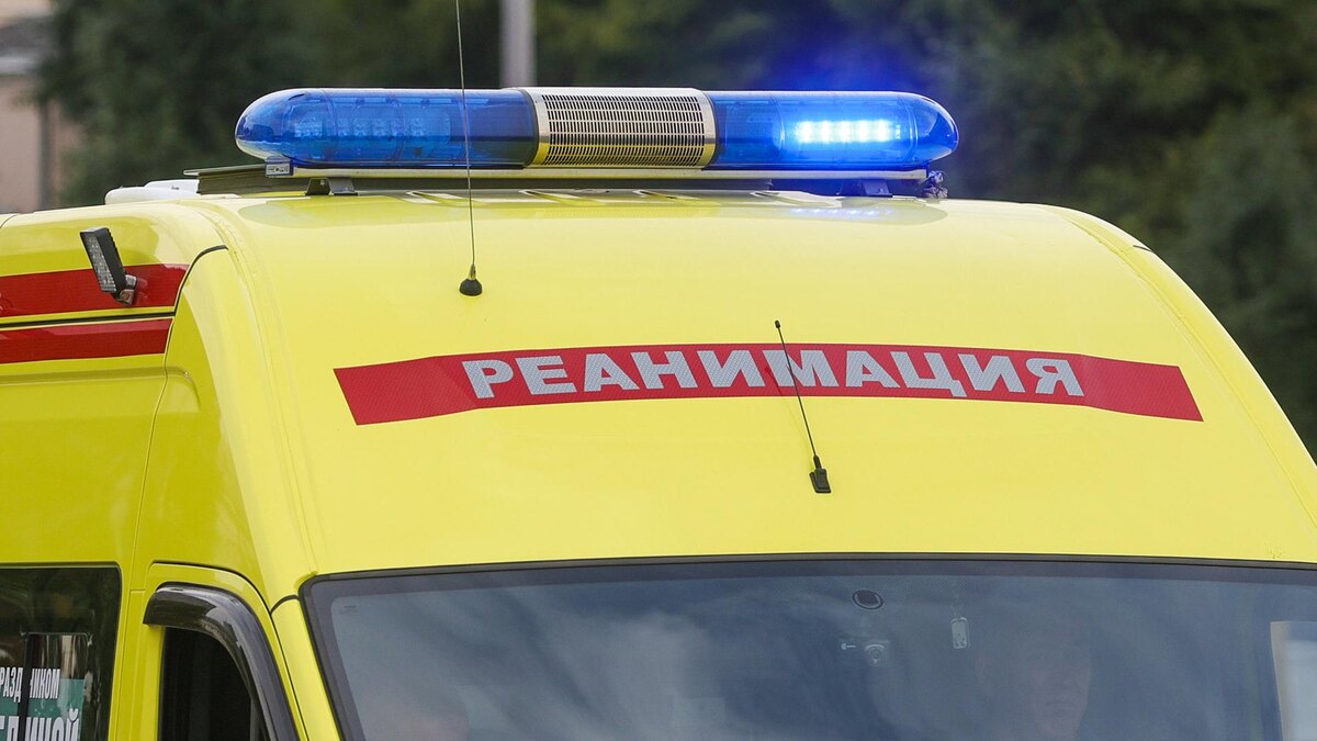    Фото: Shatokhina Natalia/globallookpress.com