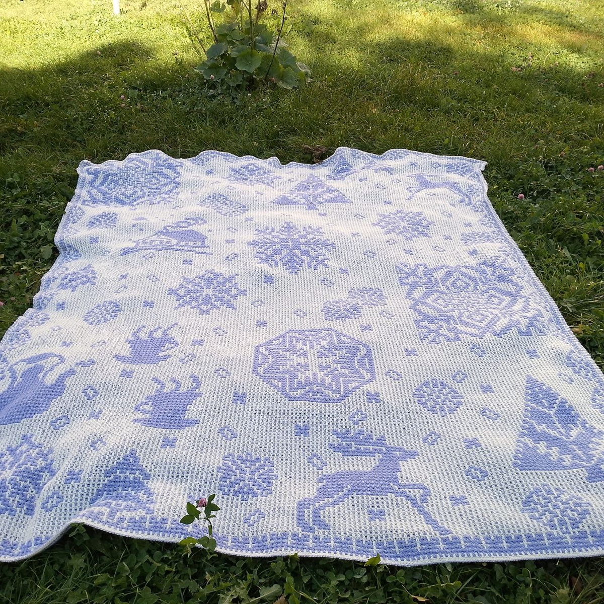 "Зимняя нежность" на зелёной травке от Галины.