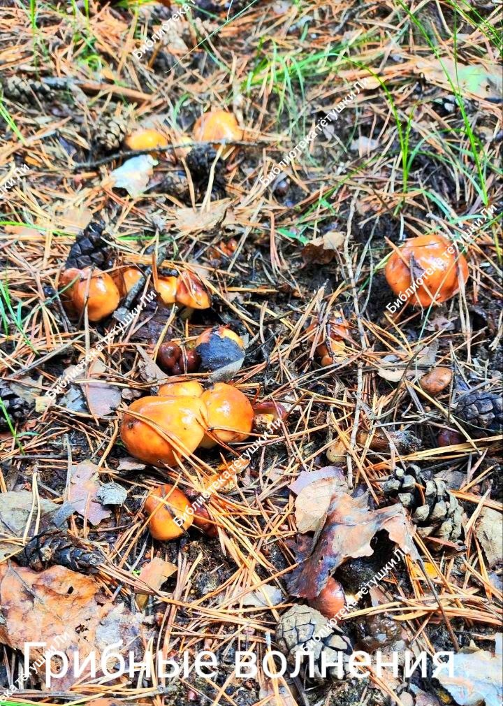 фото из личного архива