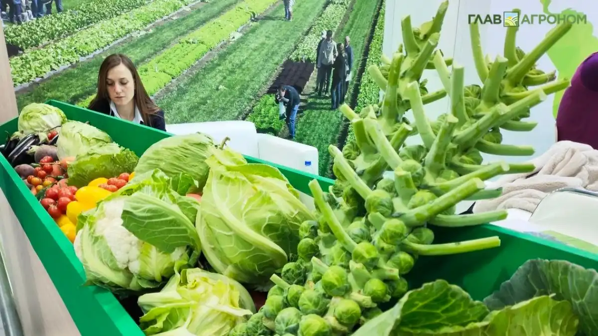 Фото:© Владимир Исаенко / Glavagronom.ruВ супермаркетах Англии в начале 2026 года появятся в продаже продукты с отредактированным геномом