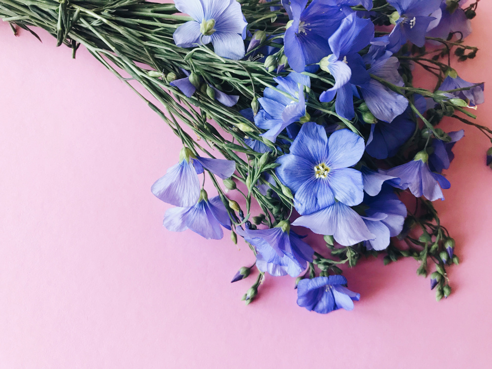 DRAWzdova/Shutterstock📷Льняная пряжа очень крепкая на разрыв — это можно считать главным символом свадебной годовщины