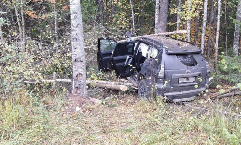    Водитель внедорожника пострадал, уходя от столкновения на трассе в КарелииГАИ Карелии
