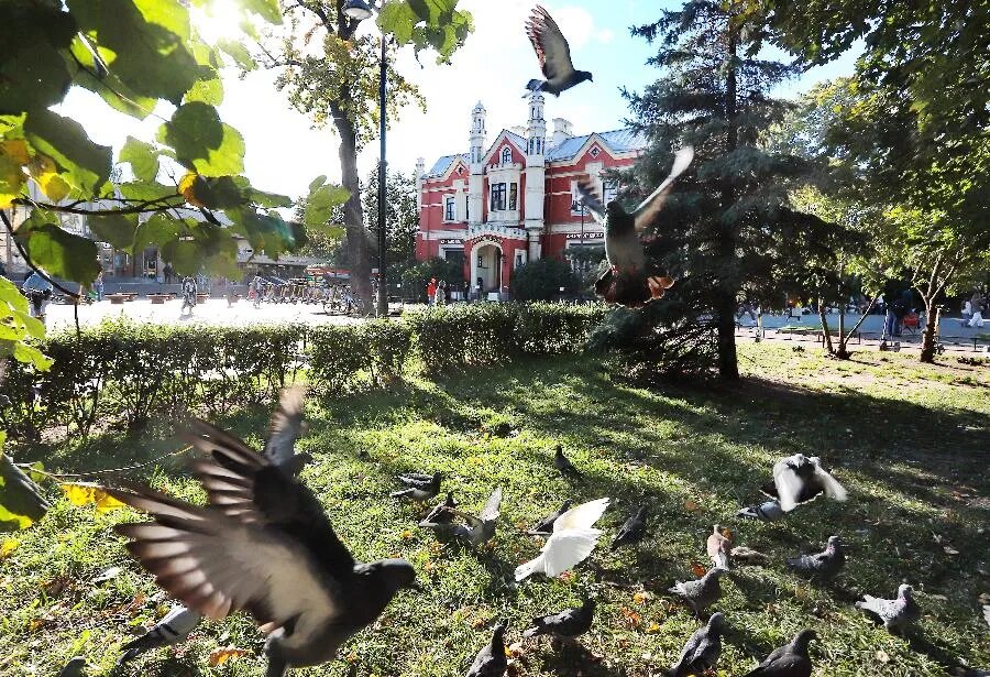 ФОТО Дмитрия СОКОЛОВА