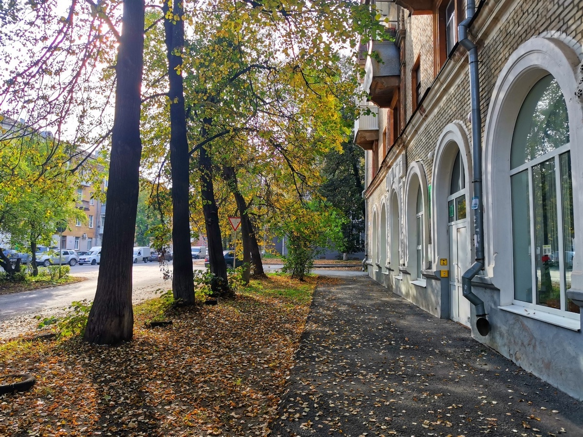 Фото: Алексей Чугунов