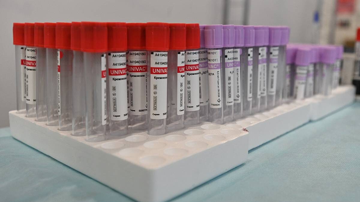    Фото: Александр Кочубей / Вечерняя Москва