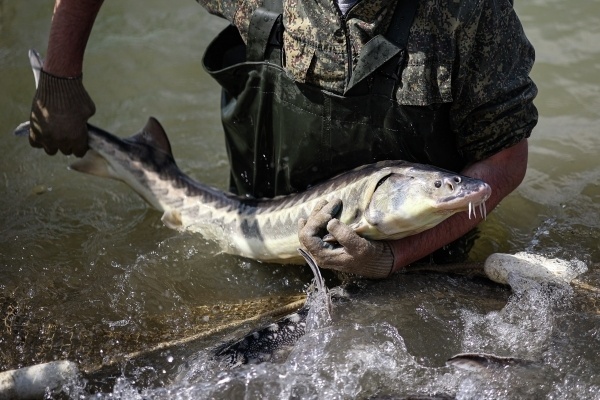 Фото: РИА Новости/Виталий Тимкив