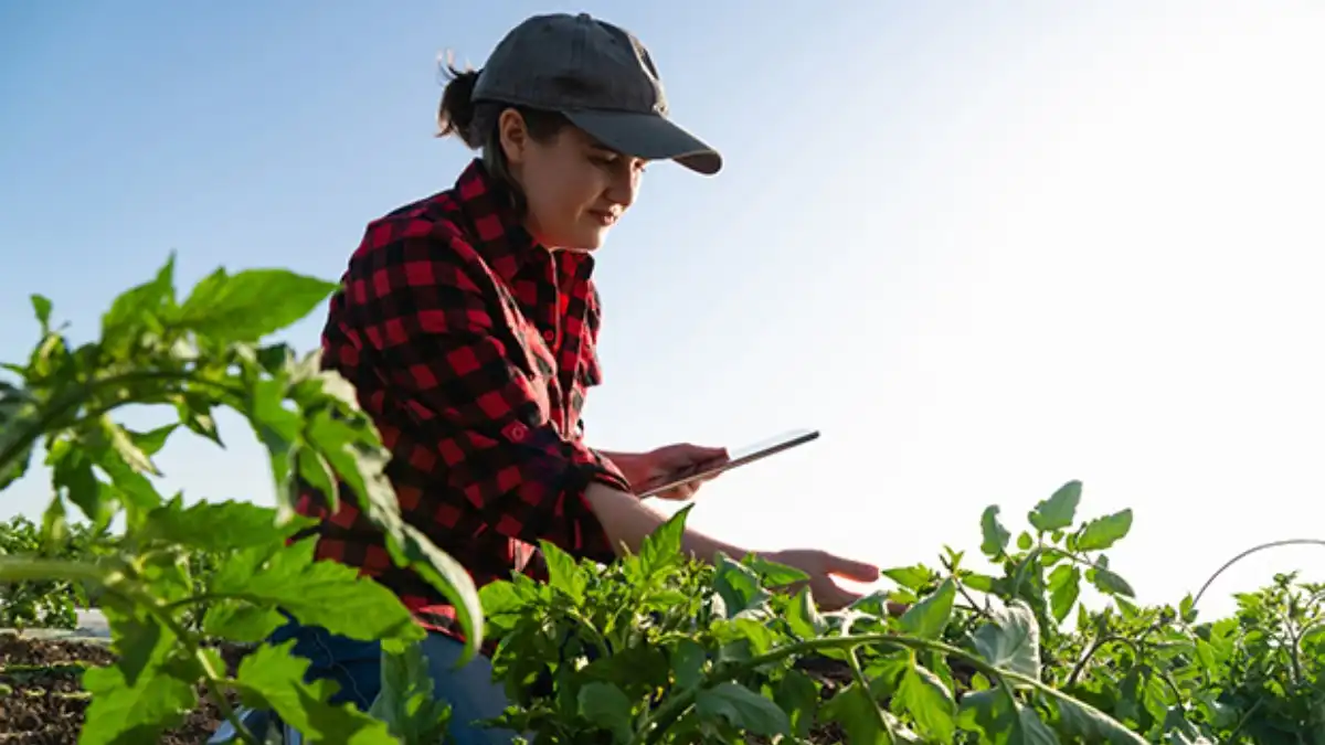 Фото:AEMБлагодаря точному земледелию в США производство сельхозпродукции выросло на 5% за 5 лет