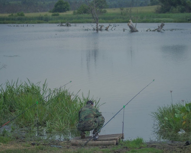     В Курском районе прошел чемпионат области по рыболовному спорту