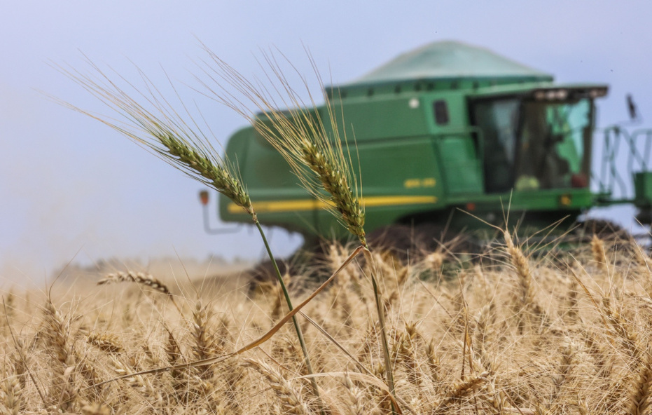    Dirceu Portugal/Keystone Press Agency/Global Look Press