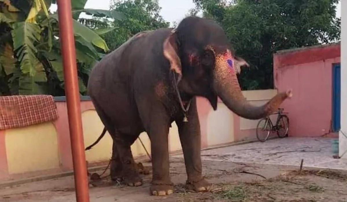 Фото: новостное агентство Asia News Network