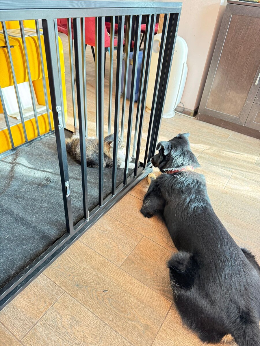 Зона притяжения 