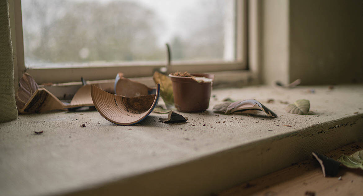 Фото из сети.