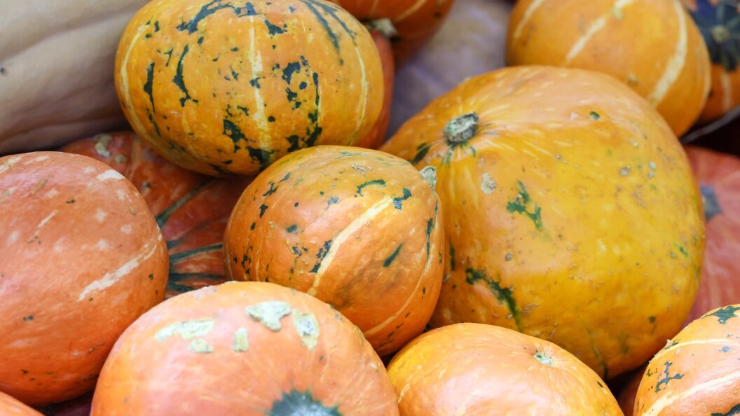    Belkin Alexey/Globallookpress