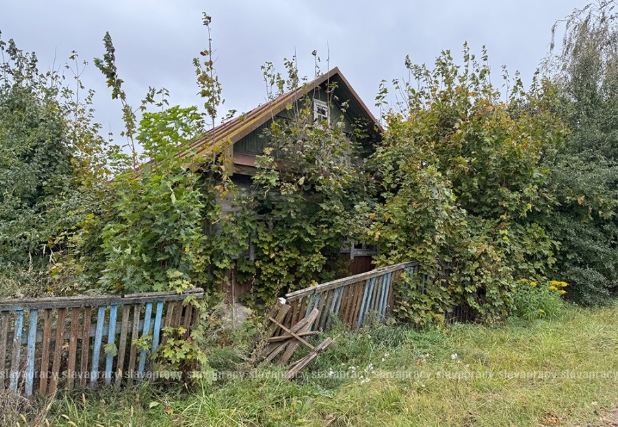     Призрак на улице: разбираемся, что не так в деревне Ужа Копыльского района