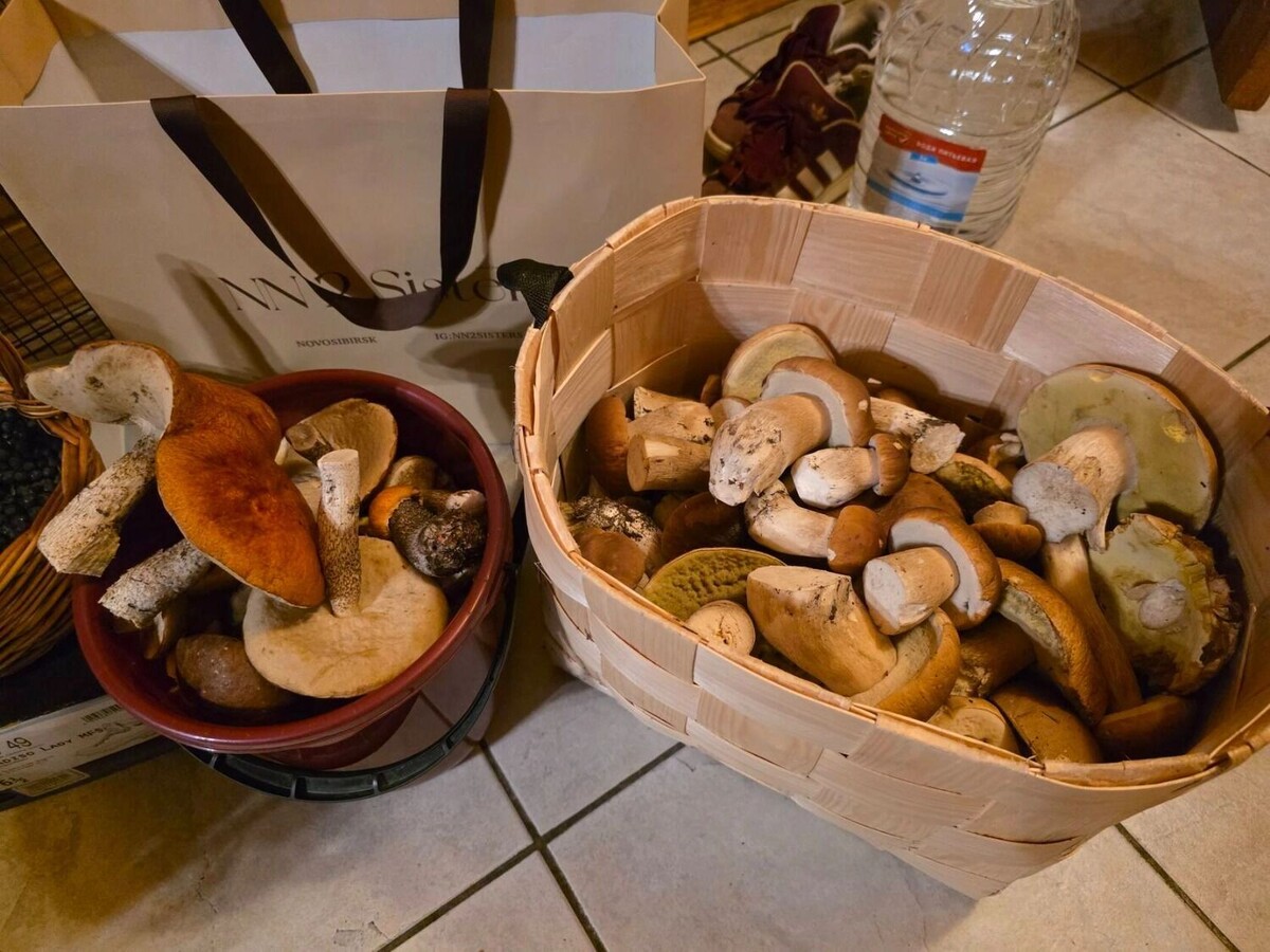     Источник: forum.toadstool.ru