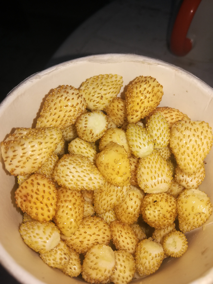 Сорт "Желтое чудо"