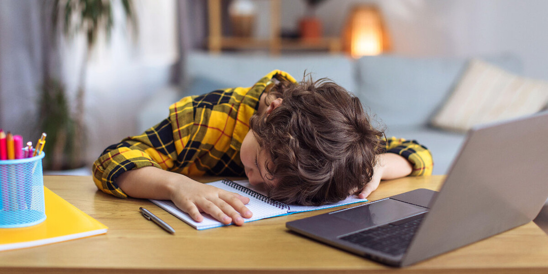 Нейродинамика: как повысить умственную работоспособность ребенка