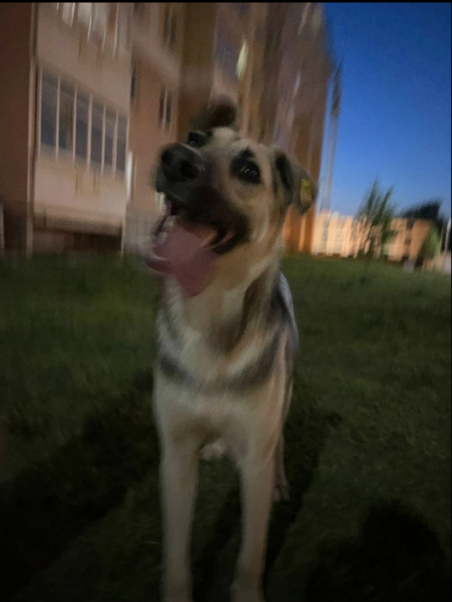 Играется и веселится 