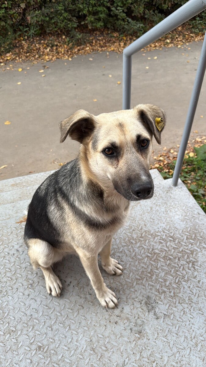 Он ждал 2 часа около двери