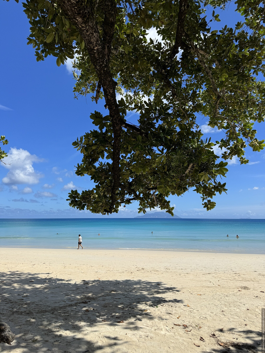 © Лариса Чепенко