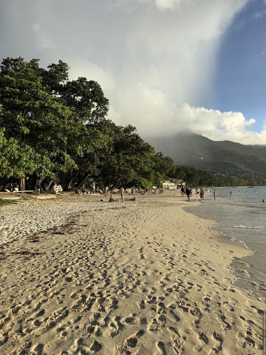 © Лариса Чепенко