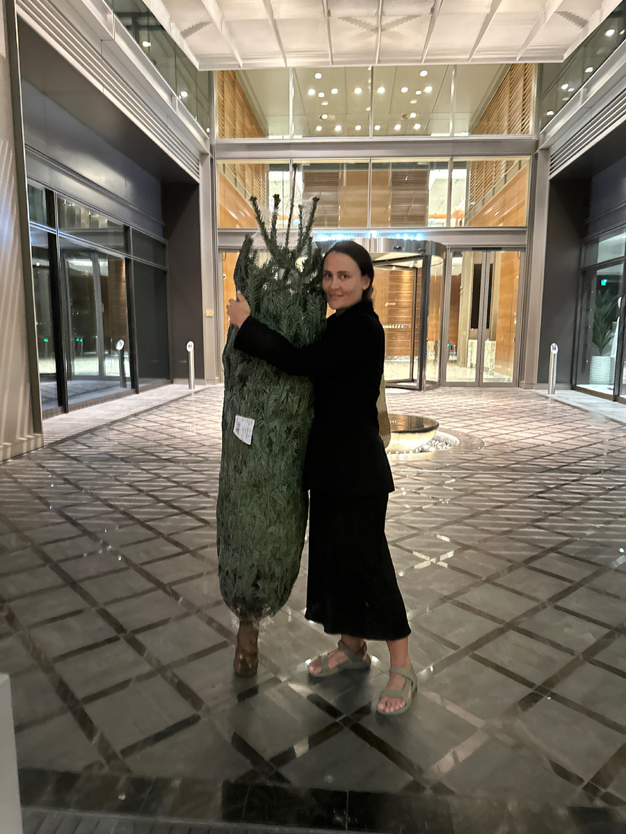 Оформление Живыми елками  в Дубае и искусственные в России 