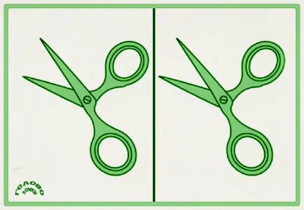 🔍 СКОРОСТНОЙ ВЫЗОВ: найди ОДИН секрет на картинках с ножницами!