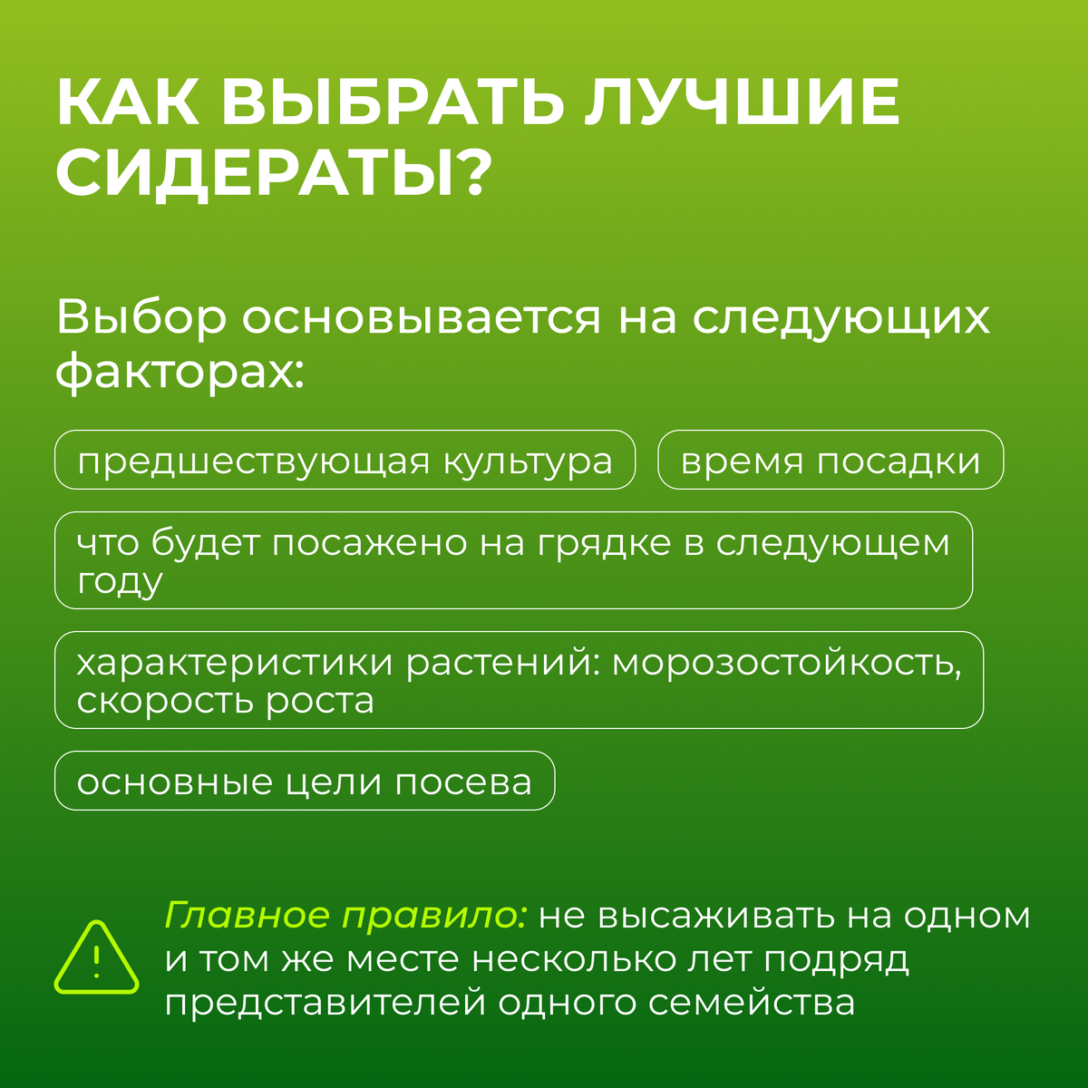 Как выбрать сидераты