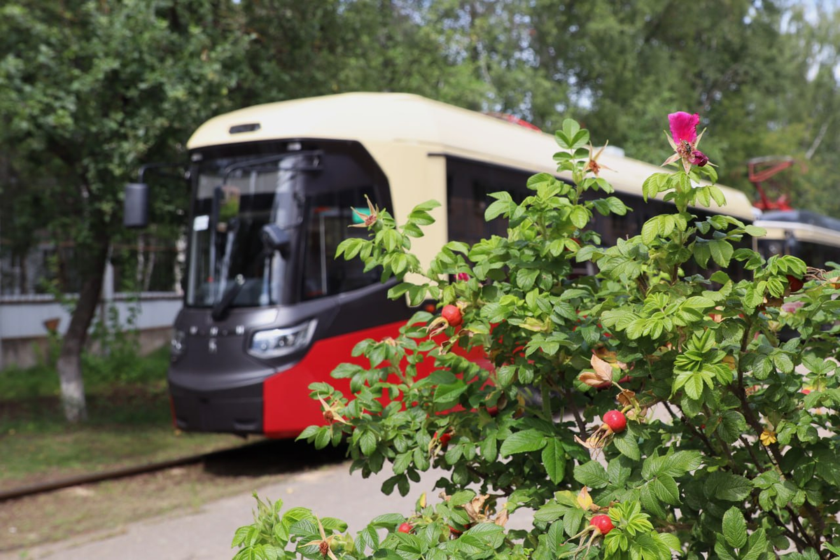 Трамвай «Минин» в Нижнем Новгороде