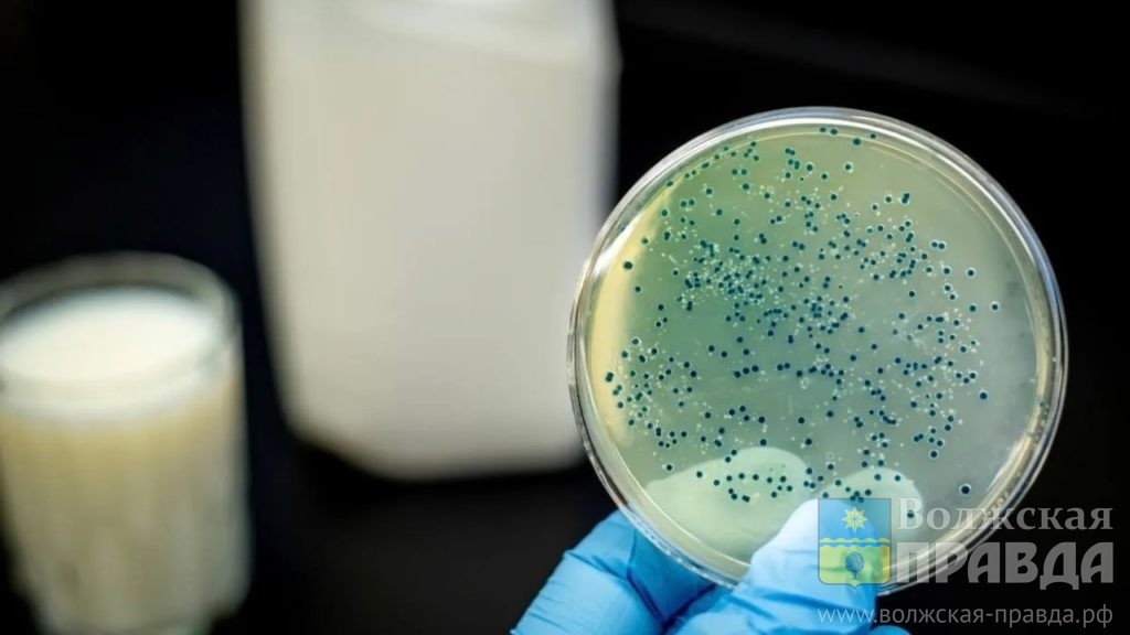     Рядом с Волжским появился новый очаг бруцеллеза

