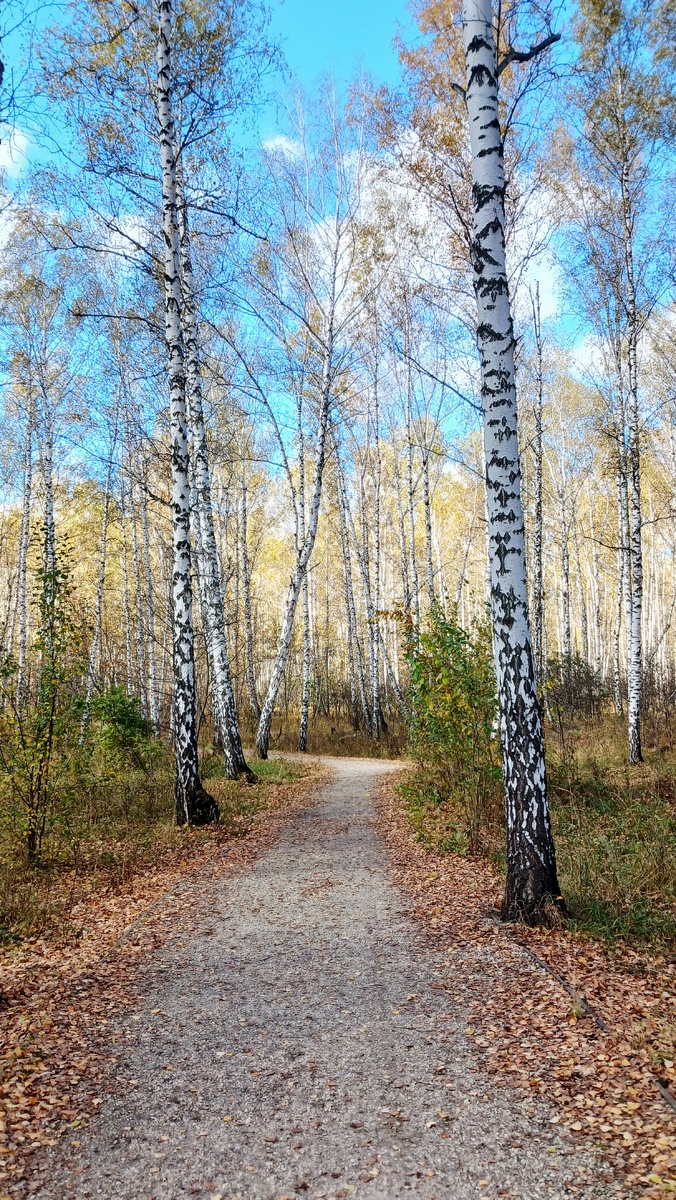 "Доброе утро, мир! Ты прекрасен!" Фото автора