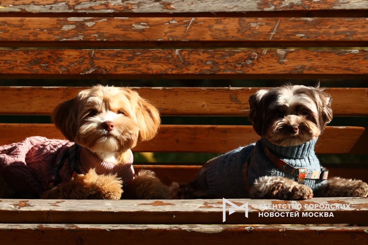 Фотограф: Ярослав Чингаев