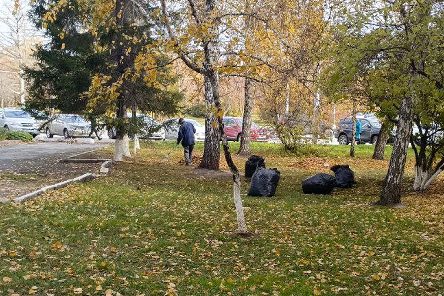    Фото: 54 новости \ Telegram