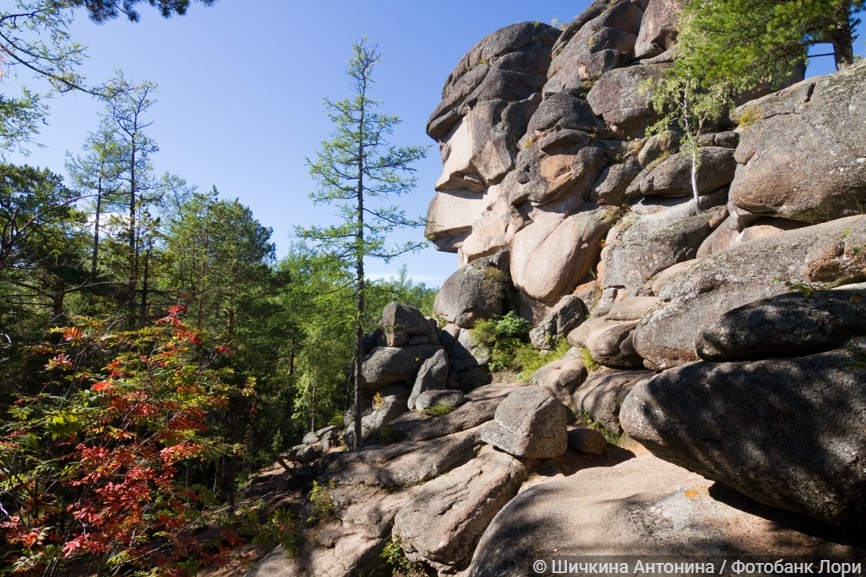 Скала Дед. Красноярский заповедник "Столбы" 