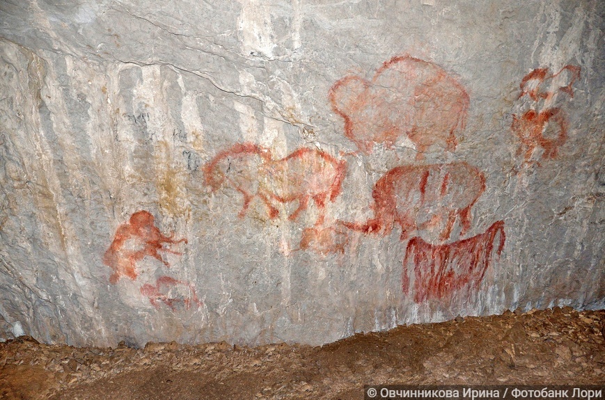 Пещера Шульган-Таш (Капова) (2013 год)