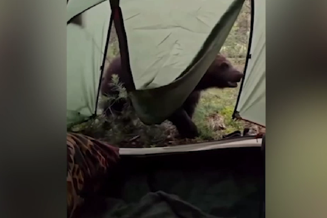     / Источник: Кадр из видео