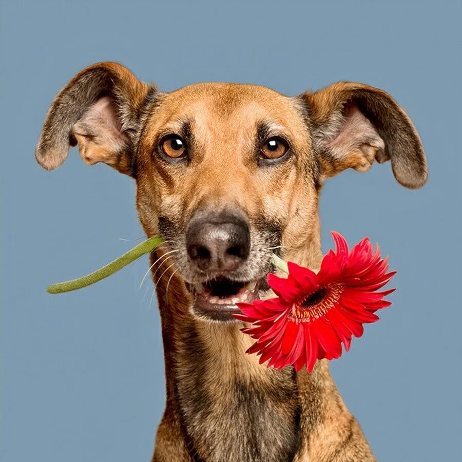 Картинка из свободного доступа