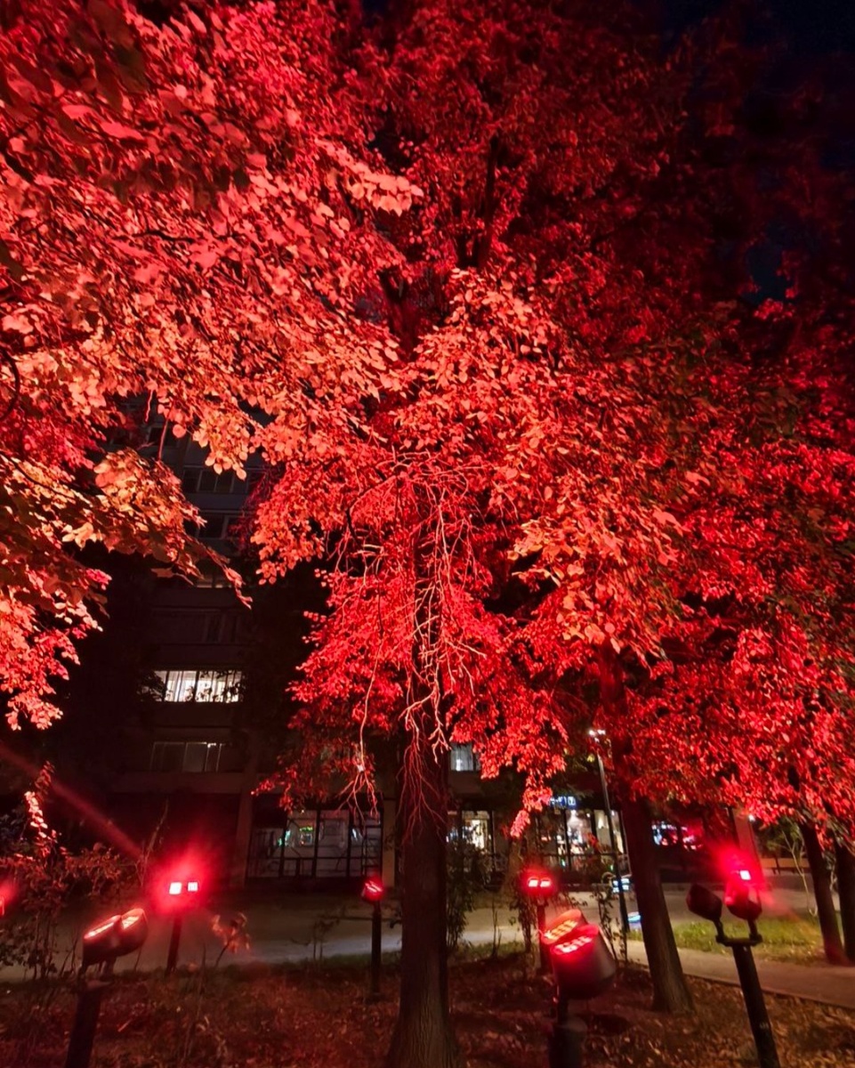 Фотоколлаж - собственность автора канала "ТАК НАДО".