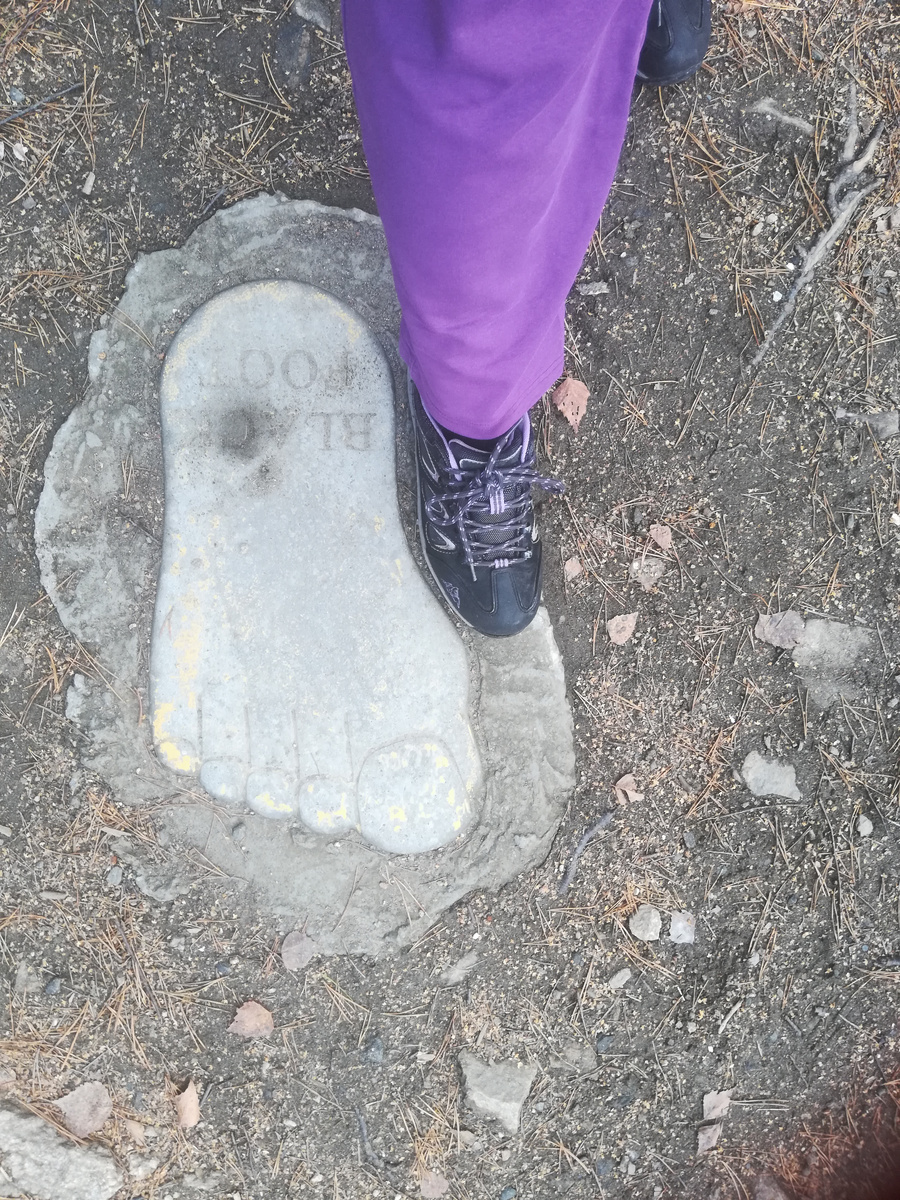 Оставить свой след