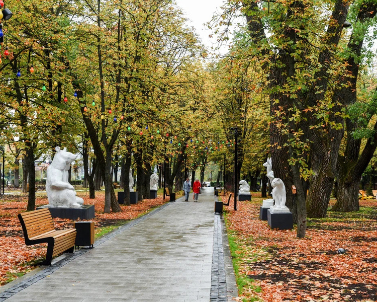     В Курской области 4 октября ожидаются сильный ветер и +18 градусов