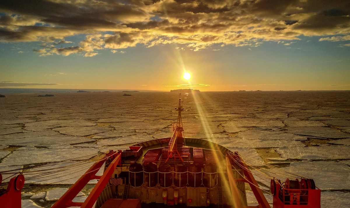    Южный океан: что это за новый океан и почему его признали только недавно. Источник изображения: rgo.ru